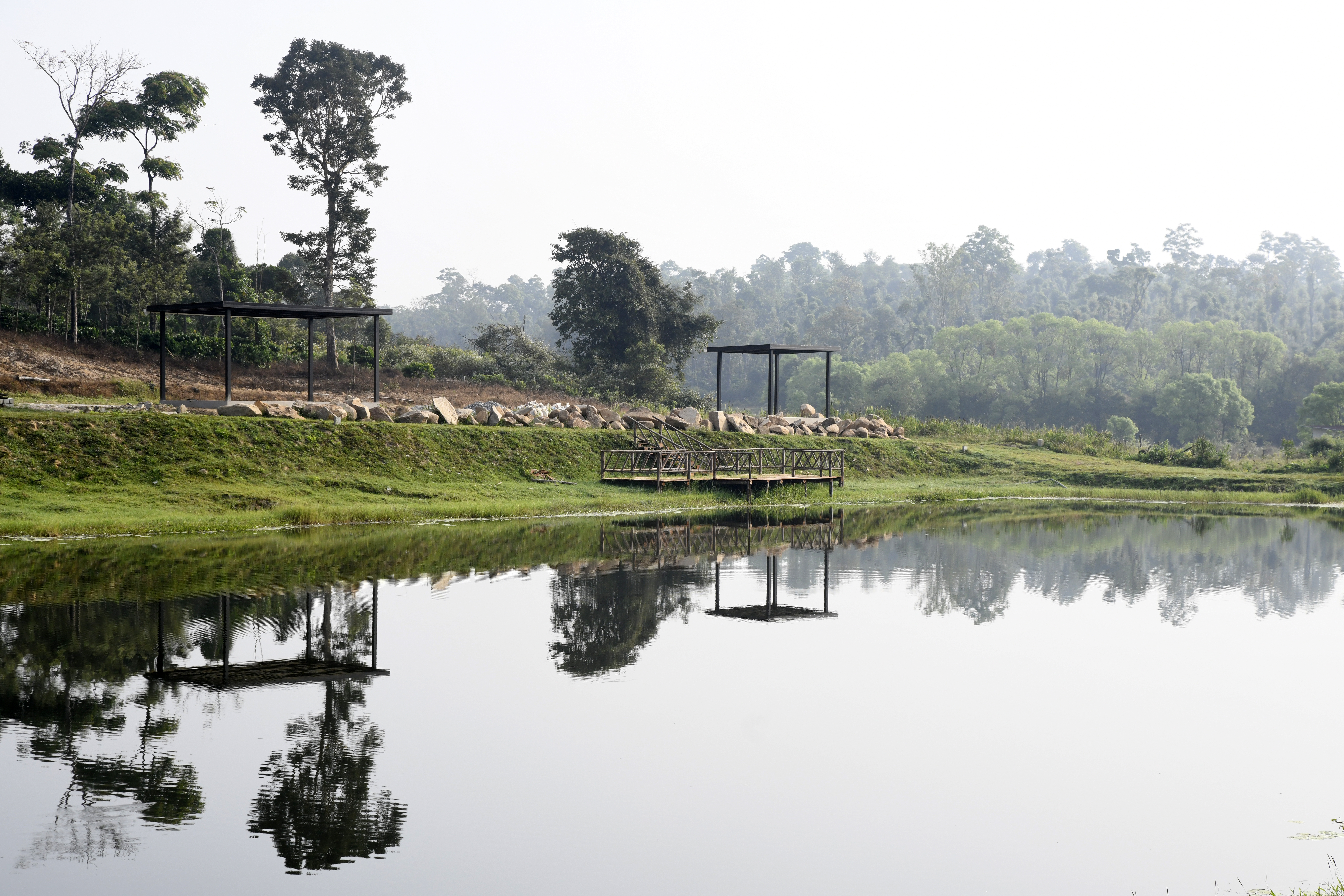 Peaceful Lakeside View